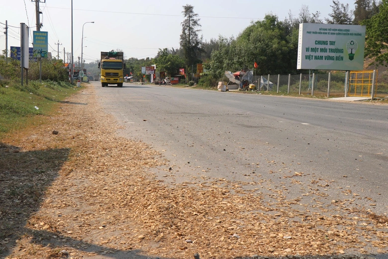 Người d&acirc;n khốn khổ v&igrave; xe chở dăm gỗ rơi v&atilde;i, nguy cơ mất ATGT đoạn qua Dung Quất - Ảnh 1.