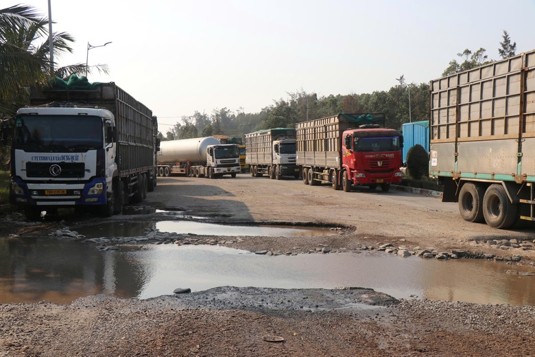 Người d&acirc;n khốn khổ v&igrave; xe chở dăm gỗ rơi v&atilde;i, nguy cơ mất ATGT đoạn qua Dung Quất - Ảnh 8.