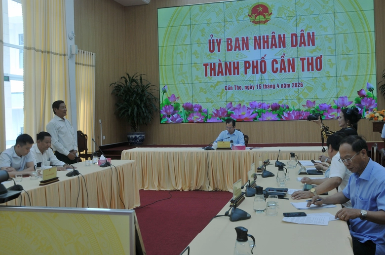 Cần Thơ họp khẩn, t&igrave;m c&aacute;ch ti&ecirc;u thụ hơn 650.000 tấn l&uacute;a- Ảnh 1.