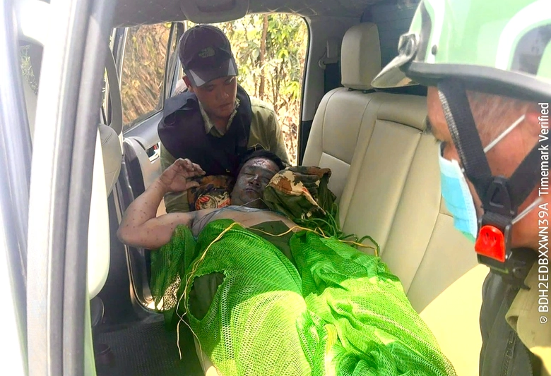 Gia Lai: Ong tấn c&ocirc;ng tổ tuần tra rừng, một nh&acirc;n vi&ecirc;n tử vong- Ảnh 1.