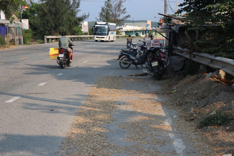 Người d&acirc;n khốn khổ v&igrave; xe chở dăm gỗ rơi v&atilde;i, nguy cơ mất ATGT đoạn qua Dung Quất - Ảnh 9.