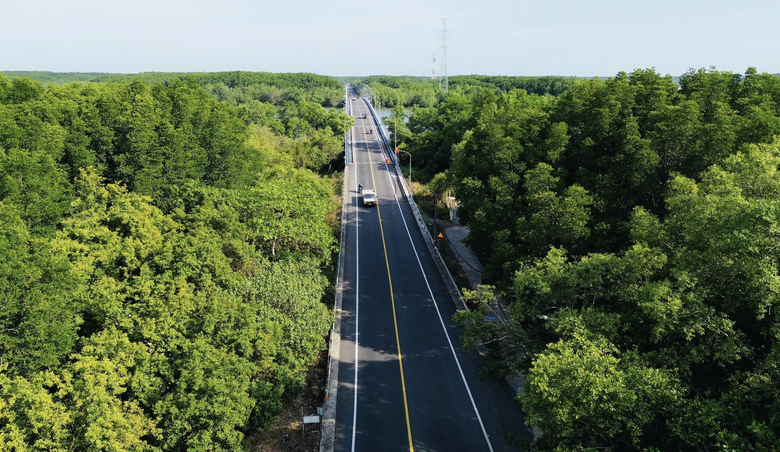 UBND TP.HCM giao Vingroup nghi&ecirc;n cứu mở rộng gấp đ&ocirc;i đường Rừng S&aacute;c nối Cần Giờ- Ảnh 1.