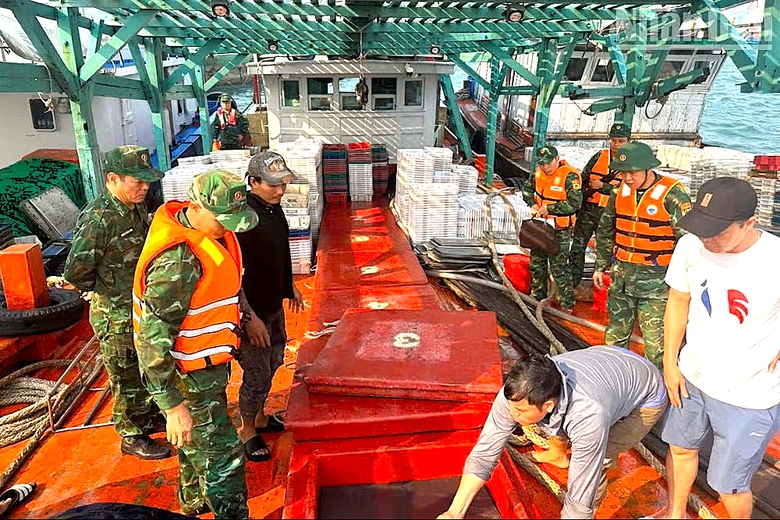 Tạm giữ t&agrave;u c&aacute; vận chuyển 10.000 l&iacute;t dầu kh&ocirc;ng r&otilde; nguồn gốc tr&ecirc;n v&ugrave;ng biển Bạch Long Vĩ- Ảnh 1.