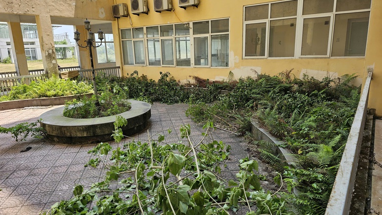 T&aacute;i khởi động Trung t&acirc;m đ&agrave;o tạo c&aacute;n bộ ng&acirc;n h&agrave;ng ở Huế, dự kiến xong qu&yacute; III/2028- Ảnh 5.