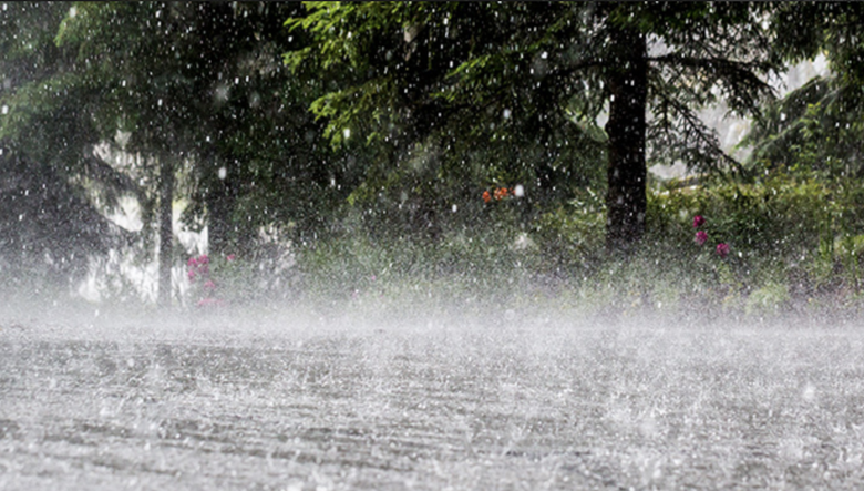 Y&ecirc;u cầu chủ động ứng ph&oacute; d&ocirc;ng lốc, mưa đ&aacute;- Ảnh 1.