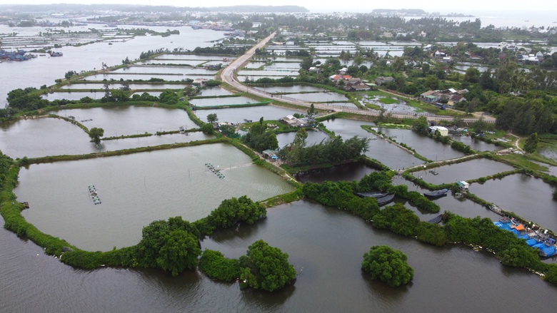 Quảng Ng&atilde;i họp b&agrave;n x&acirc;y kho xăng dầu gần 5.000m&sup3; ở Đ&ocirc;ng Sơn- Ảnh 2.