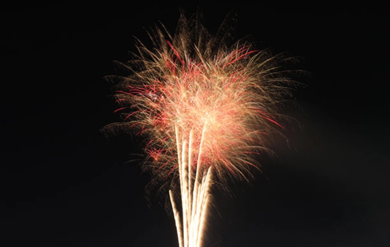 Đồng Nai: Bắn ph&aacute;o hoa tầm cao v&agrave; tầm thấp 12 điểm trong đ&ecirc;m 30/4- Ảnh 1.