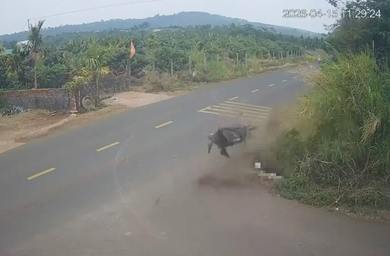 Khởi tố c&aacute;n bộ CSGT kh&ocirc;ng cứu gi&uacute;p người bị nạn ở Đắk Lắk- Ảnh 2.