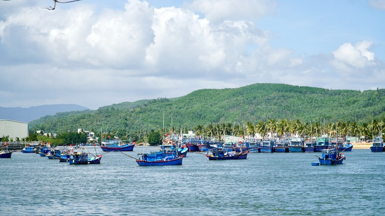 Gia Lai hỗ trợ giải bản t&agrave;u c&aacute; kh&ocirc;ng đủ điều kiện hoạt động- Ảnh 1.