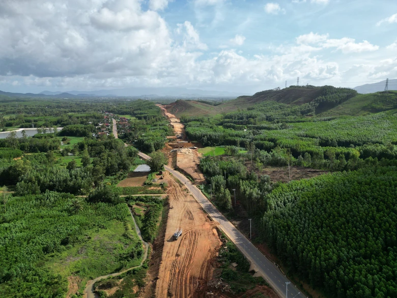 Gia Lai chuyển đổi gần 53ha rừng phục vụ tuyến đường trọng điểm- Ảnh 1.