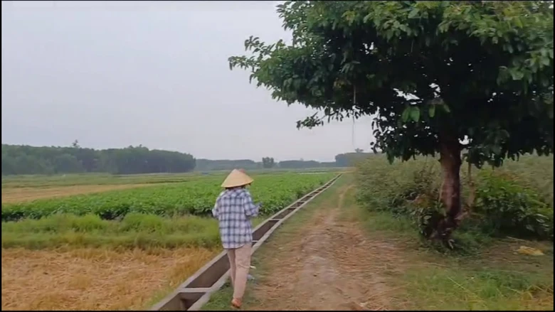 Quảng Ng&atilde;i: Tr&ecirc;n đường chở l&uacute;a về nh&agrave;, người đ&agrave;n &ocirc;ng bị s&eacute;t đ&aacute;nh tử vong- Ảnh 1.