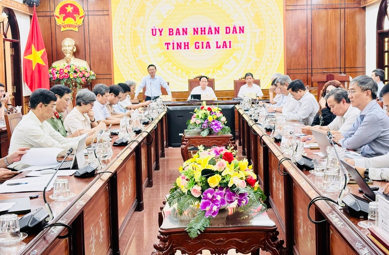 Chủ tịch tỉnh Gia Lai: Kh&ocirc;ng để thiết lập "mặt bằng gi&aacute; mới" trước biến động gi&aacute; xăng dầu- Ảnh 3.