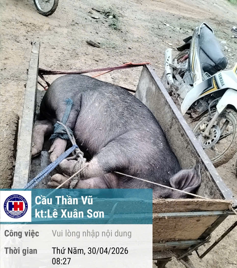 Xuy&ecirc;n lễ thi c&ocirc;ng hầm Thần Vũ đoạn Diễn Ch&acirc;u - B&atilde;i Vọt- Ảnh 10.