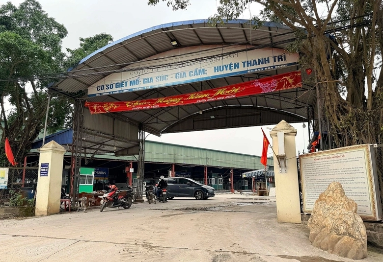 Vụ thịt lợn bệnh v&agrave;o trường học ở H&agrave; Nội: Nh&oacute;m c&aacute;n bộ kiểm dịch thu khoảng 2,5 tỷ đồng- Ảnh 1.