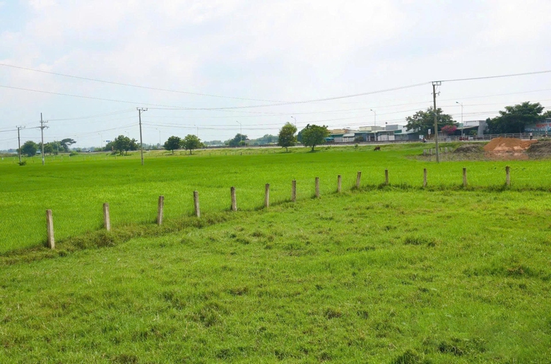 Kh&aacute;nh H&ograve;a: Đẩy nhanh giải ph&oacute;ng mặt bằng dự &aacute;n đường sắt tốc độ cao Bắc - Nam- Ảnh 4.