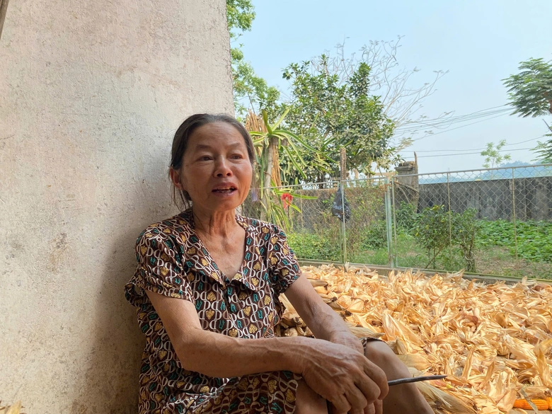 Nghệ An: Quyết tâm vượt tiến độ dự án cầu 200 tỷ bắc qua sông Lam- Ảnh 5. Nghệ An: Quyết tâm vượt tiến độ dự án cầu 200 tỷ bắc qua sông Lam- Ảnh 5.