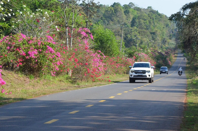 Đồng Nai n&acirc;ng cấp trục M&atilde; Đ&agrave; - V&agrave;nh đai 4 l&ecirc;n 6 l&agrave;n xe, tăng lực kết nối li&ecirc;n v&ugrave;ng- Ảnh 2.