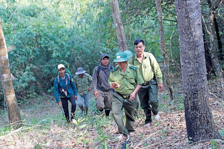 Giữ m&agrave;u xanh tr&ecirc;n đỉnh Chư Yang Sin- Ảnh 1.