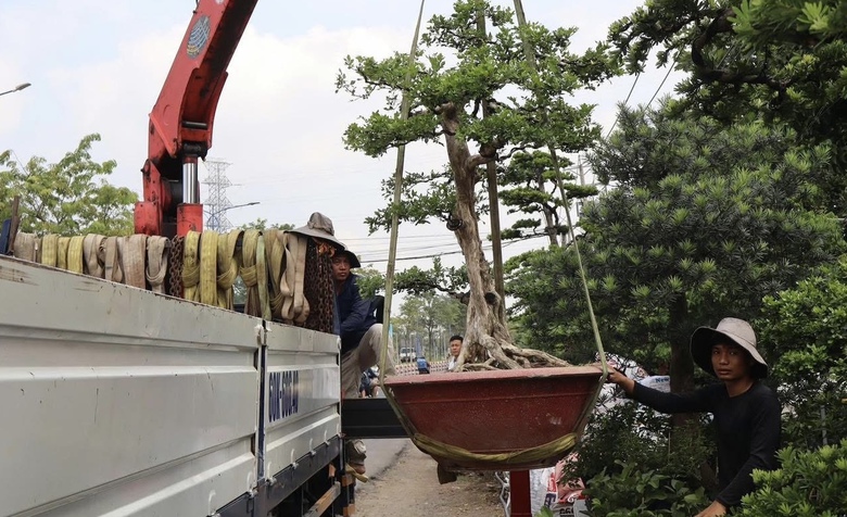 TP Đồng Nai chấn chỉnh lấn chiếm vỉa h&egrave;, chỉnh trang đ&ocirc; thị khu vực trung t&acirc;m- Ảnh 3.
