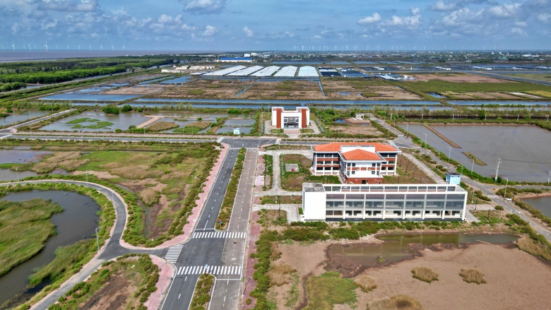 Gỡ vướng cho Khu n&ocirc;ng nghiệp ứng dụng c&ocirc;ng nghệ cao ph&aacute;t triển t&ocirc;m Bạc Li&ecirc;u- Ảnh 1.