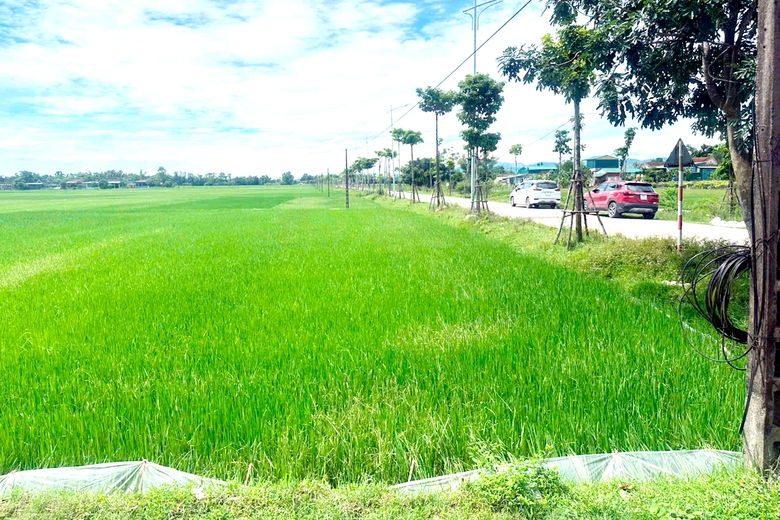 H&agrave; Tĩnh tập trung tạo đồng thuận trong giải ph&oacute;ng mặt bằng đường sắt tốc độ cao- Ảnh 2.