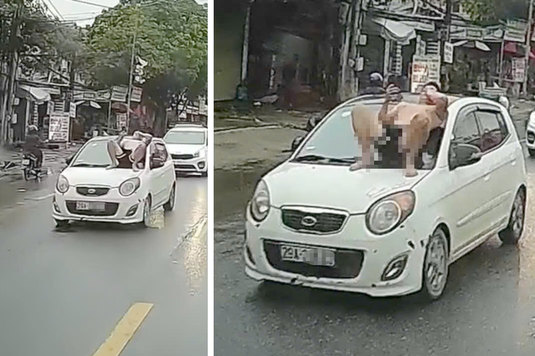 H&agrave; Nội: Khởi tố bố vợ v&agrave; con rể vụ "ngồi tr&ecirc;n k&iacute;nh chắn gi&oacute; để đ&ograve;i &ocirc; t&ocirc;'' ở Quảng Oai- Ảnh 1.
