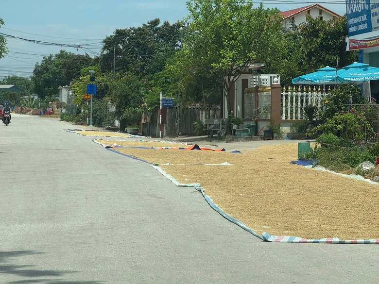 Nhiều địa phương tăng cường xử l&yacute; t&igrave;nh trạng phơi l&uacute;a, rơm rạ lấn chiếm l&ograve;ng đường- Ảnh 2.