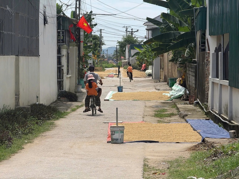 Nhiều địa phương tăng cường xử l&yacute; t&igrave;nh trạng phơi l&uacute;a, rơm rạ lấn chiếm l&ograve;ng đường- Ảnh 1.