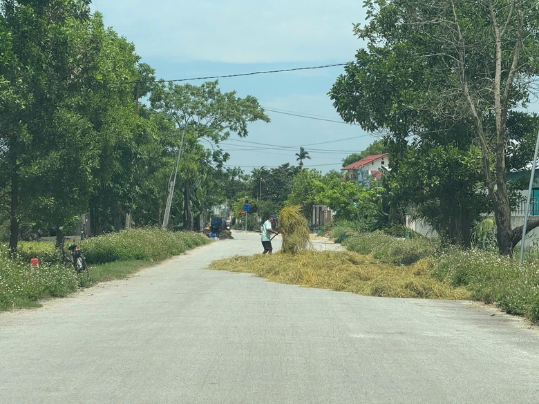 Nhiều địa phương tăng cường xử l&yacute; t&igrave;nh trạng phơi l&uacute;a, rơm rạ lấn chiếm l&ograve;ng đường- Ảnh 4.