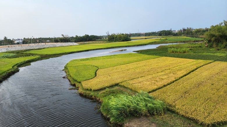 Quảng Ng&atilde;i: Sẵn s&agrave;ng triển khai bồi thường, GPMB dự &aacute;n đường sắt tốc độ cao- Ảnh 3.