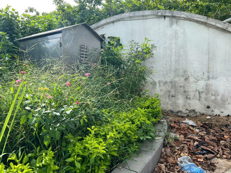 Nghệ An: Phố đi bộ ở phường Trường Vinh xuống cấp hư hỏng- Ảnh 4.