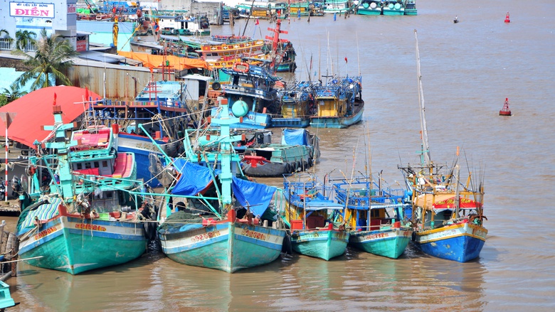 Giải bài toán hạ tầng - logistics và nguồn nhân lực phát triển kinh tế biển Cà Mau- Ảnh 1. Giải bài toán hạ tầng - logistics và nguồn nhân lực phát triển kinh tế biển Cà Mau- Ảnh 1.