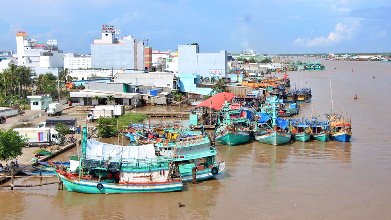 Chống khai th&aacute;c IUU: C&agrave; Mau siết chặt gi&aacute;m s&aacute;t, truy xuất nguồn gốc v&agrave; ch&uacute; trọng sinh kế- Ảnh 3.