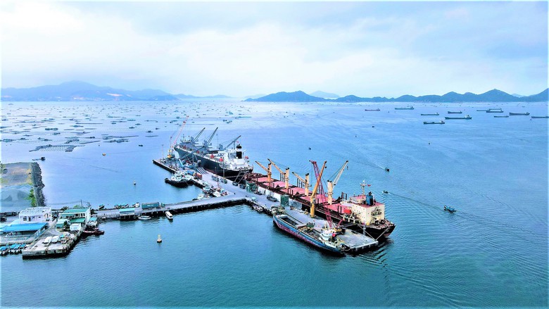 Kh&aacute;nh H&ograve;a x&acirc;y dựng cảng biển hướng tới trung t&acirc;m logistics v&agrave; trung chuyển quốc tế- Ảnh 2.