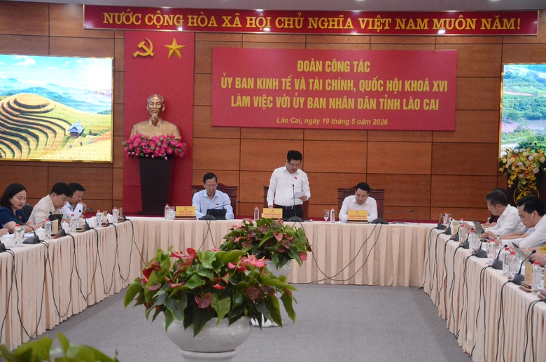 Ph&oacute; chủ tịch Quốc hội Nguyễn Hồng Di&ecirc;n thị s&aacute;t tuyến đường sắt L&agrave;o Cai-H&agrave; Nội-Hải Ph&ograve;ng- Ảnh 6.