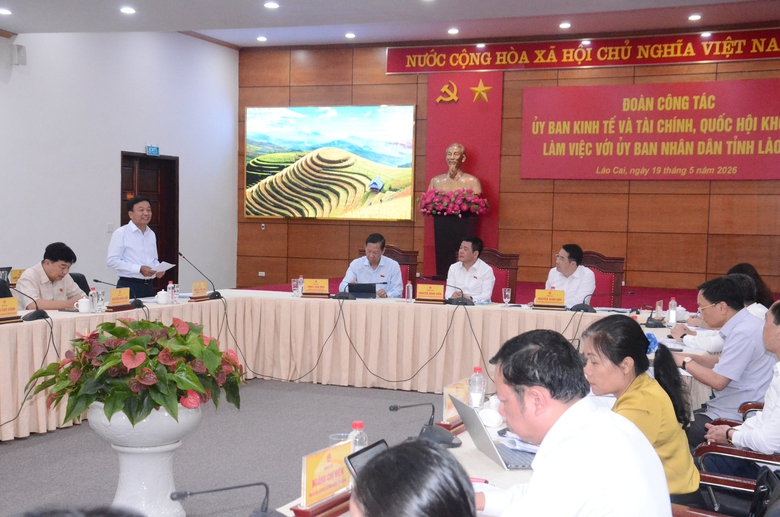 Ph&oacute; chủ tịch Quốc hội Nguyễn Hồng Di&ecirc;n thị s&aacute;t tuyến đường sắt L&agrave;o Cai-H&agrave; Nội-Hải Ph&ograve;ng- Ảnh 10.