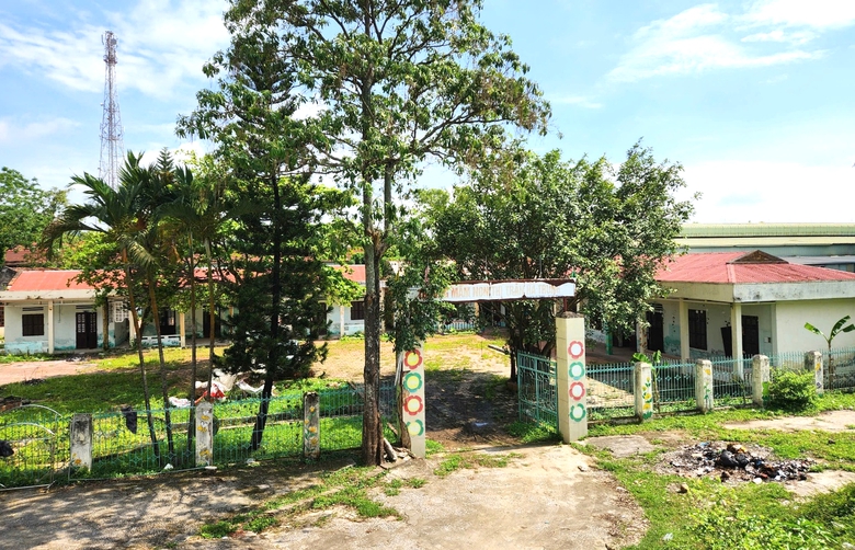 Thanh Ho&aacute; chuyển giao hơn 300 t&agrave;i sản c&ocirc;ng cho cấp x&atilde; quản l&yacute;, xử l&yacute;- Ảnh 2.