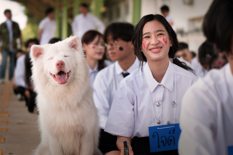“Tạm biệt Gohan” lập kỷ lục tại rạp Việt với doanh thu hơn 30 tỷ đồng- Ảnh 4. “Tạm biệt Gohan” lập kỷ lục tại rạp Việt với doanh thu hơn 30 tỷ đồng- Ảnh 4.