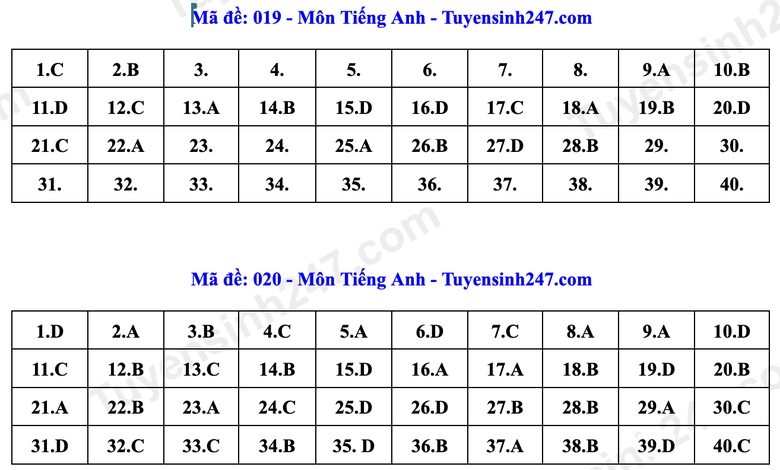 Đ&aacute;p &aacute;n Tiếng Anh lớp 10 H&agrave; Nội năm 2026 theo từng m&atilde; đề- Ảnh 10.