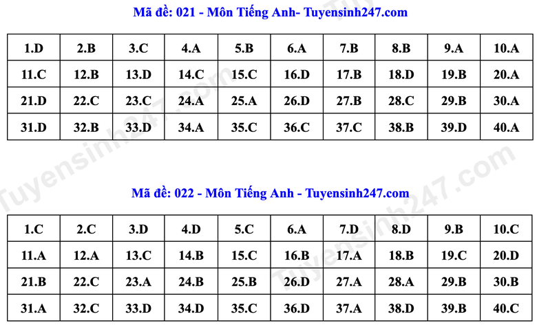 Đ&aacute;p &aacute;n Tiếng Anh lớp 10 H&agrave; Nội năm 2026 theo từng m&atilde; đề- Ảnh 11.