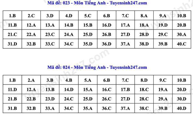 Đ&aacute;p &aacute;n Tiếng Anh lớp 10 H&agrave; Nội năm 2026 theo từng m&atilde; đề- Ảnh 12.