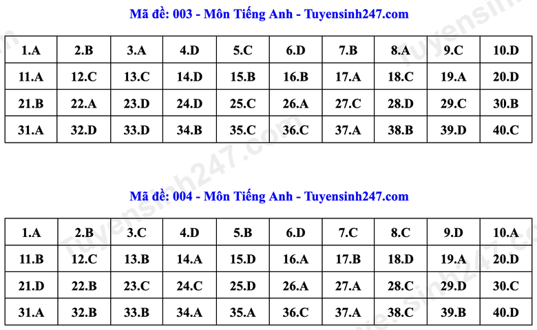 Đ&aacute;p &aacute;n Tiếng Anh lớp 10 H&agrave; Nội năm 2026 theo từng m&atilde; đề- Ảnh 2.