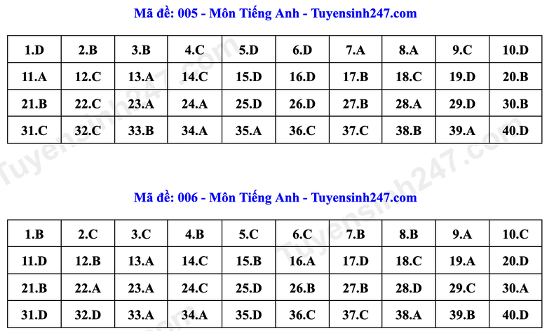 Đ&aacute;p &aacute;n Tiếng Anh lớp 10 H&agrave; Nội năm 2026 theo từng m&atilde; đề- Ảnh 3.