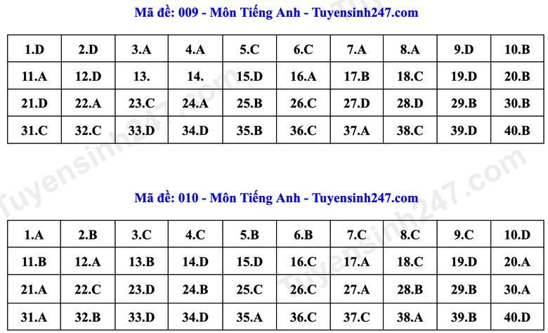 Đ&aacute;p &aacute;n Tiếng Anh lớp 10 H&agrave; Nội năm 2026 theo từng m&atilde; đề- Ảnh 5.