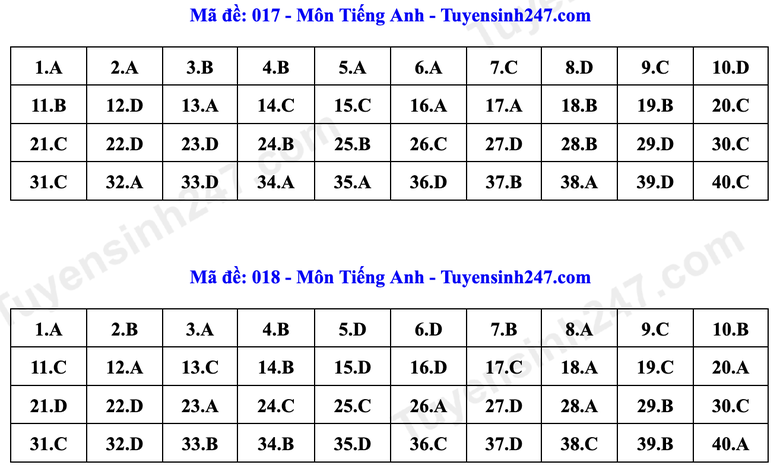 Đ&aacute;p &aacute;n Tiếng Anh lớp 10 H&agrave; Nội năm 2026 theo từng m&atilde; đề- Ảnh 9.