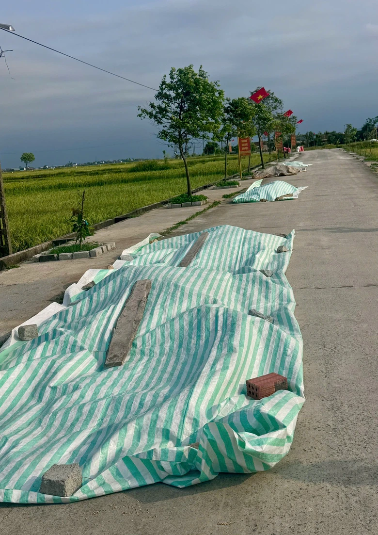 H&agrave; Tĩnh, Nghệ An: Phơi th&oacute;c tr&agrave;n đường, nguy cơ tai nạn giao th&ocirc;ng r&igrave;nh rập- Ảnh 5.