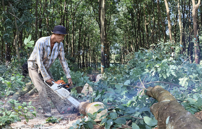 Hai trục kết nối v&ugrave;ng Đ&ocirc;ng Nam bộ v&agrave; T&acirc;y Nguy&ecirc;n đang triển khai ra sao?- Ảnh 3.