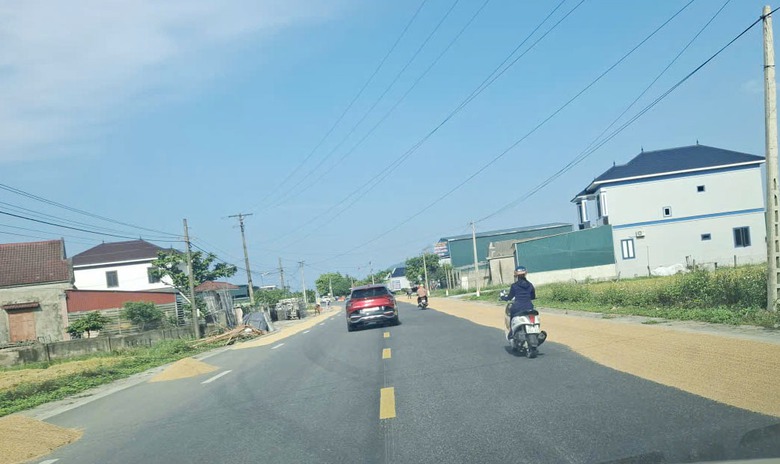 H&agrave; Tĩnh, Nghệ An: Phơi th&oacute;c tr&agrave;n đường, nguy cơ tai nạn giao th&ocirc;ng r&igrave;nh rập- Ảnh 2.