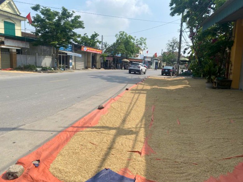 H&agrave; Tĩnh, Nghệ An: Phơi th&oacute;c tr&agrave;n đường, nguy cơ tai nạn giao th&ocirc;ng r&igrave;nh rập- Ảnh 3.