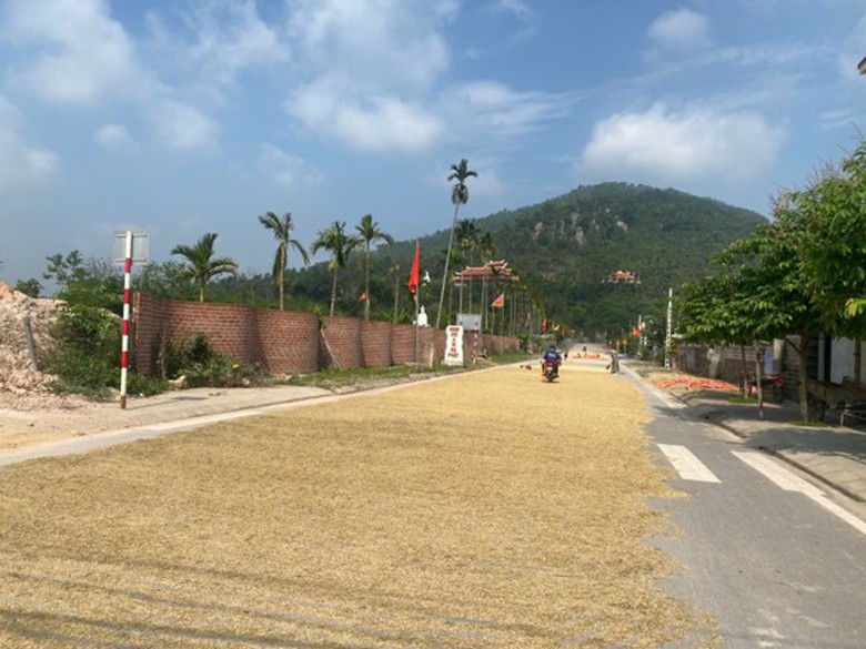 H&agrave; Tĩnh, Nghệ An: Phơi th&oacute;c tr&agrave;n đường, nguy cơ tai nạn giao th&ocirc;ng r&igrave;nh rập- Ảnh 4.